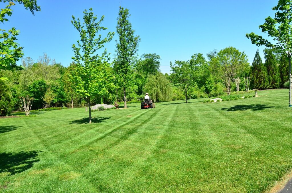 Lawn Care 643557 1280 1024x678